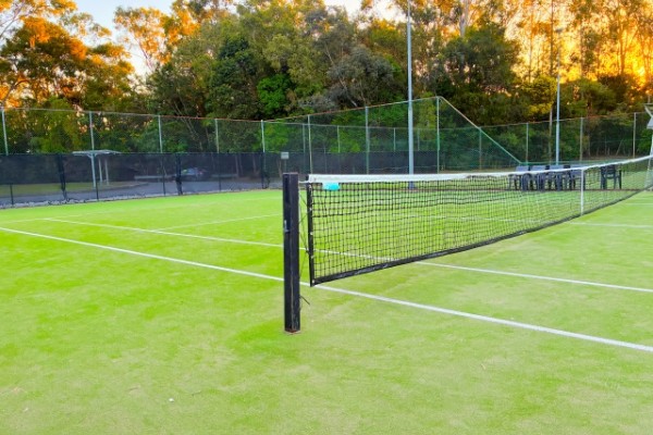 「え、ブラシ掛けなくていいの？」オムニコートで整備不要と言われる意外な理由